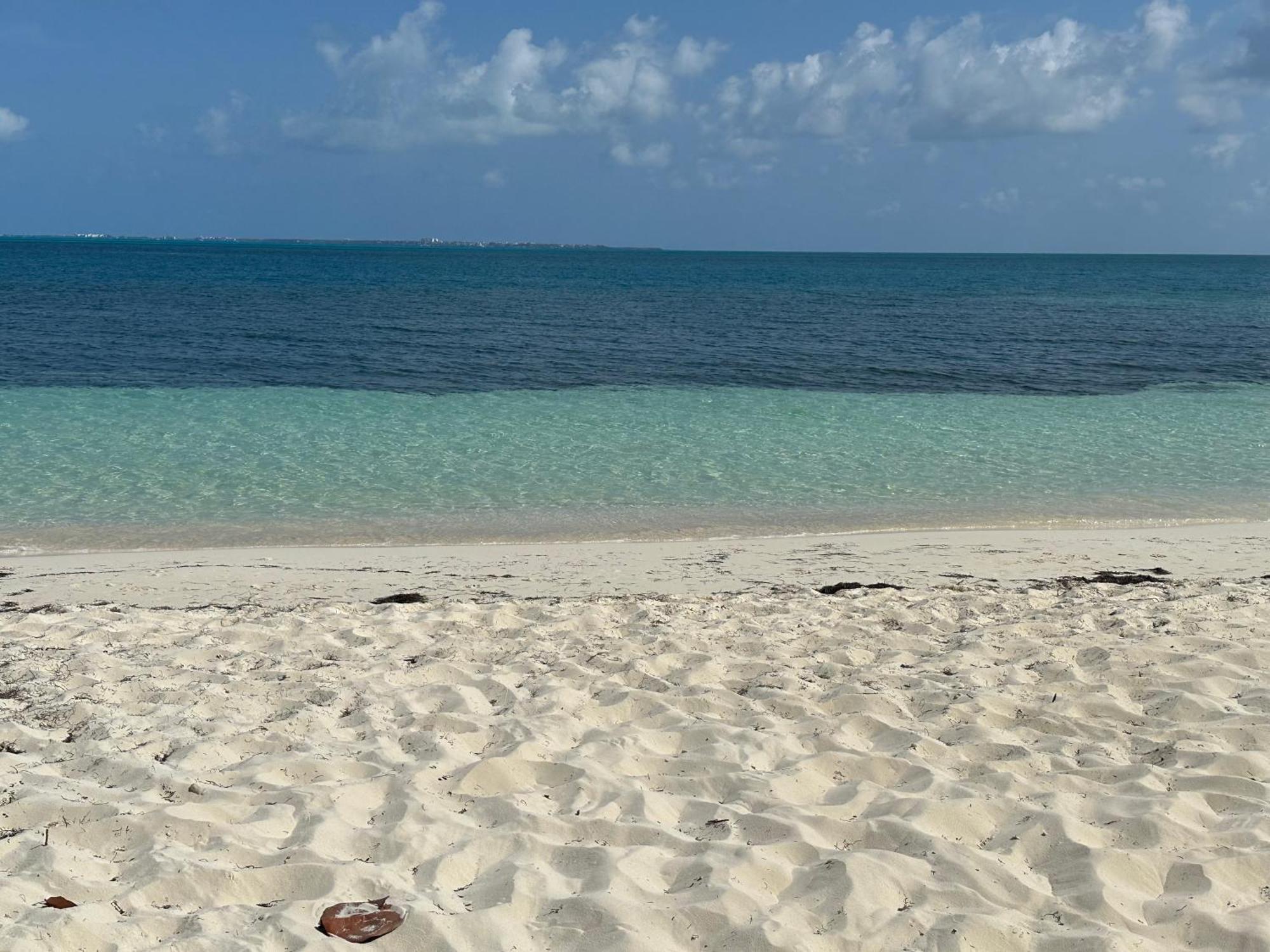 Villa Albatros Oceanfront Luxury Hotelzone Cancún Exterior foto